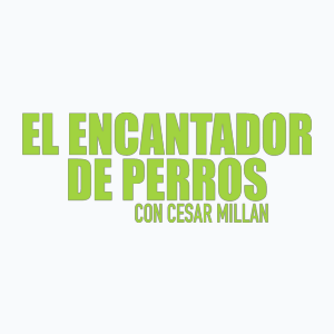 El encantador de perros