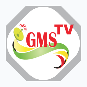 GMS TV