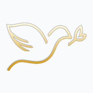 Lighting Lives Blessing Nations TV Arabic (LLBN) (480p)