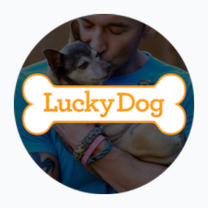 Lucky Dog (720p)